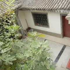 Terra-Cotta Warriors Guesthouse thumbnail 10