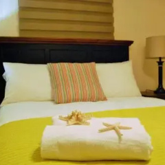 Yellow Cunucu Villa With Pool thumbnail 6