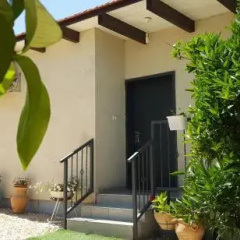 The Palm Area thumbnail 9