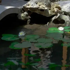 Xiao Yuaner Bed and Breakfast thumbnail 13