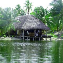 Motu Aotera Guest House in Rangiroa, French Polynesia from 169$, photos, reviews - zenhotels.com outdoors