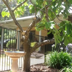 Margaret House thumbnail 13