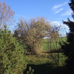 Gästehaus Guggomos - Bild 9