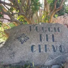 Poggio del Cervo thumbnail 4