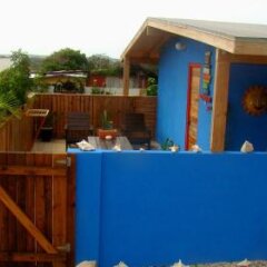 Hopi Cadushi Studio in Santa Cruz, Aruba from 293$, photos, reviews - zenhotels.com photo 8