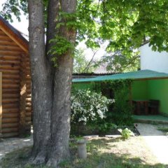 Holiday homes Castania in Straseni, Moldova from 106$, photos, reviews - zenhotels.com photo 5