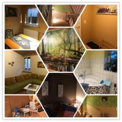 Ferienhaus der Harzer Freiheit 1 Edelharz - Bild 7