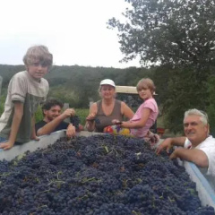 Agriturismo Podere Tegline thumbnail 10