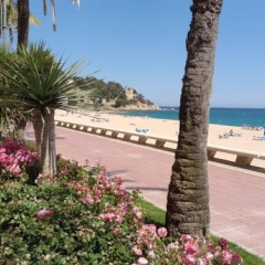 Manuela Beach City thumbnail 8