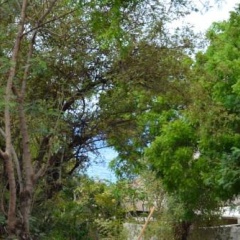 Toya Villa - Bild 14
