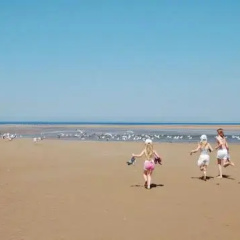 Sunnyvale Rhyl thumbnail 5