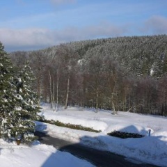 Ferienzimmer im Oberharz - Bild 9