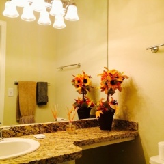 888 Convention Center 1 Bedroom Condos - Bild 6