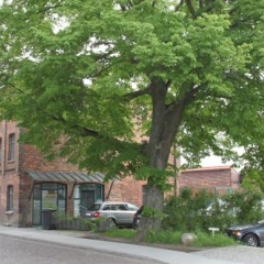 Altes Zollhaus Stralsund - Bild 1