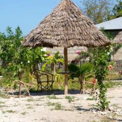 Modern Beach House, Excellent Beachfront, Private Chef, Pool in Bwejuu, Tanzania from 100$, photos, reviews - zenhotels.com photo 7