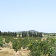 Es Lladoner - Bild 11