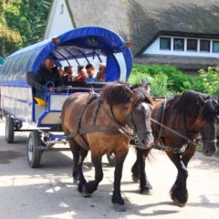 Hotel Enddorn - Bild 1
