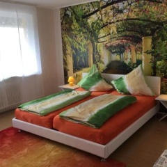 Ferienhaus am Geiersberg - Bild 5