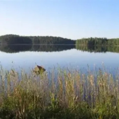 ORILAMMEN MAJA JA LOMAKESKUS photo 4