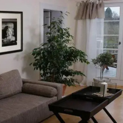 Baden- Baden Exclusive thumbnail 5