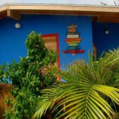 Hopi Cadushi Studio in Santa Cruz, Aruba from 293$, photos, reviews - zenhotels.com photo 4