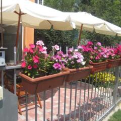 Motel Livija in Veles, Macedonia from 32$, photos, reviews - zenhotels.com photo 12