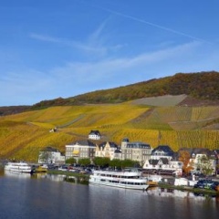 Moselle Rose - Bild 7