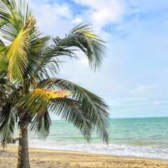 Villas Del Mar Resort in Isla Verde, Puerto Rico from 176$, photos, reviews - zenhotels.com photo 8