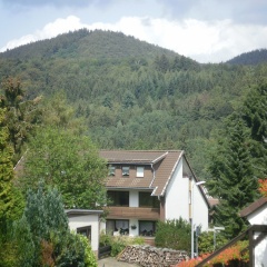 Ferienwohnung Katja - Bild 10