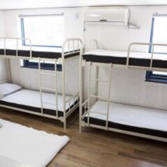 GoKorea Guesthouse in Seoul, South Korea from 101$, photos, reviews - zenhotels.com guestroom