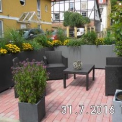 Harz Cottage - Bild 10