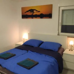 Отель Holiday Park Mimoza Хорватия, Замбратия - отзывы, цены и фото номеров - забронировать отель Holiday Park Mimoza онлайн фото 3