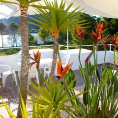 Beach Inn - Bild 7