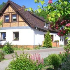 Fewo im Herzen der Insel - Bild 10