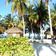 Motu Aotera Guest House in Rangiroa, French Polynesia from 169$, photos, reviews - zenhotels.com beach photo 2