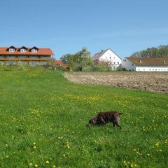 Ferienhof Rieger - Bild 8