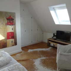 Meeresstern - Bild 4