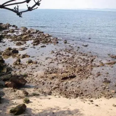 Ocean Front Stay thumbnail 18