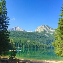 Vila AS in Zabljak, Montenegro from 74$, photos, reviews - zenhotels.com photo 3