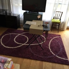 Apartments in Bern - Apartment Lila - Bild 6