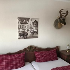 Bergwelt Braunlage - Bild 3