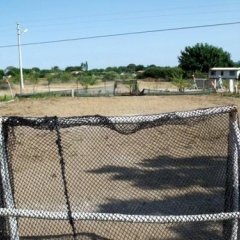Billur Pension - Bild 6