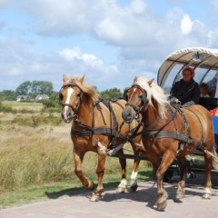 Doppelhaushälfte in Vitte auf Hiddensee - Bild 10