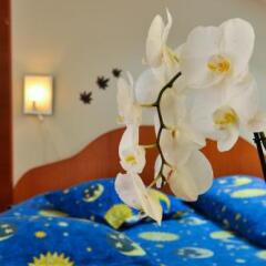 Pension Florica in Pitesti, Romania from 40$, photos, reviews - zenhotels.com photo 3