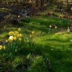 Graineag Bed and Breakfast thumbnail 10