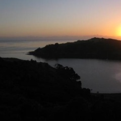 Marino Ridge thumbnail 14
