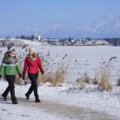 Landhaus Seeblick - Bild 13
