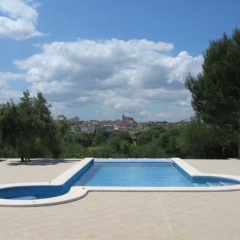 Finca S'Olivar d'es Coscois - Bild 9