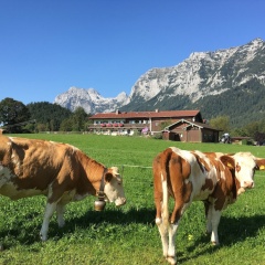Pension Vorderponholz - Bild 11