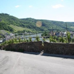 Kathi's Wein- & Gästehaus - Bild 5